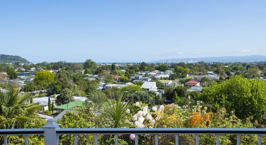  at 3 Belgium Terrace, Mangapapa, Gisborne