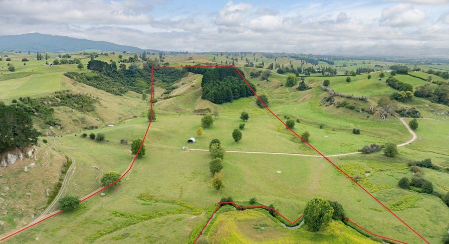  at Taotaoroa Road, Matamata, Matamata-Piako, Waikato