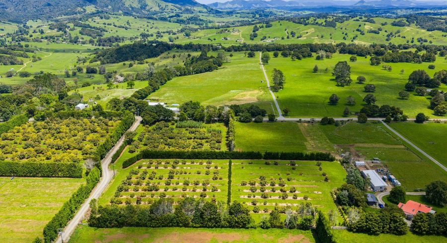  at 146 Bint Road, Maungakaramea, Whangarei, Northland