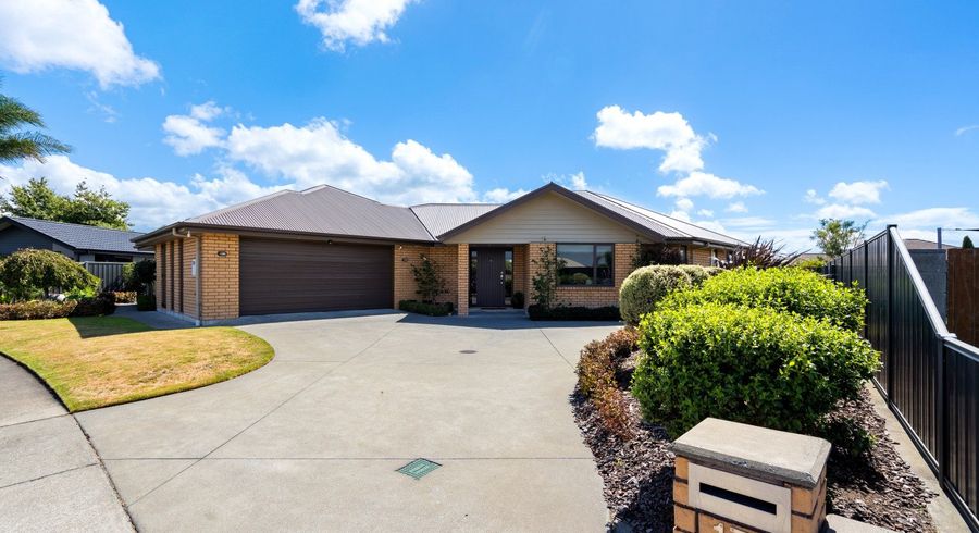 at 17 Northwood Avenue, Mahora, Hastings