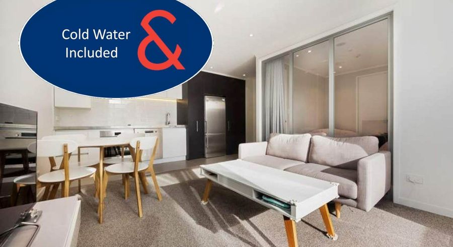 at 207/27 Union Street, Auckland Central, Auckland