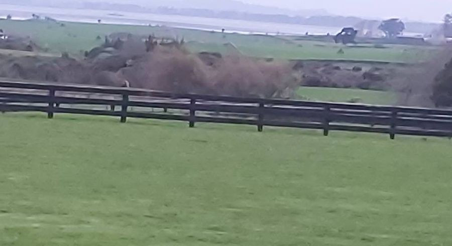  at 233 Laing Road, Karaka, Papakura