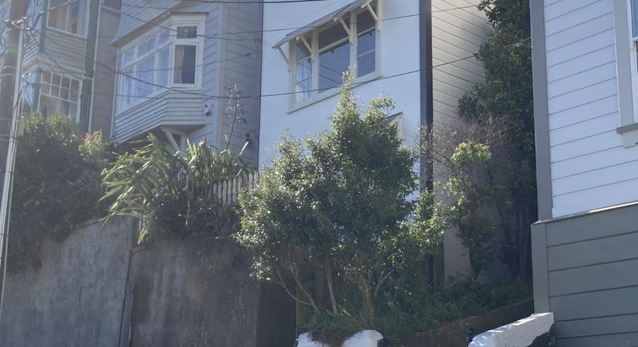  at 20 MacDonald Cres, Te Aro, Wellington, Wellington