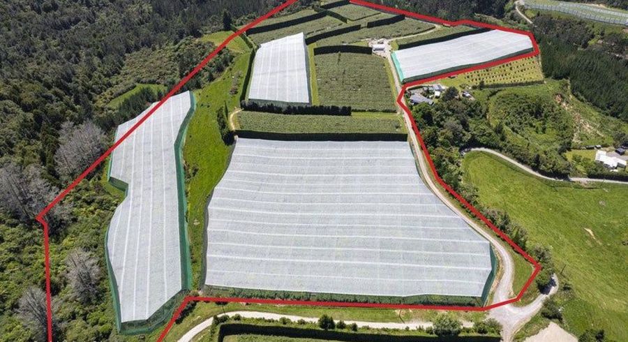  at 36B Demeter Road, Te Puke, Western Bay Of Plenty, Bay Of Plenty