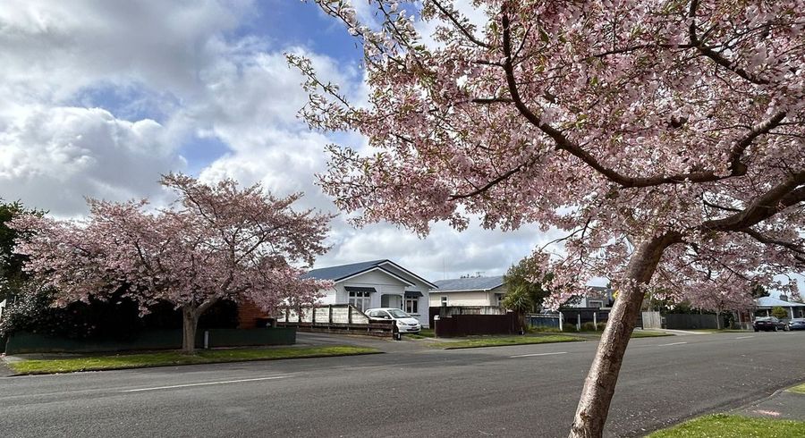  at 27 Chelwood Street, Takaro, Palmerston North