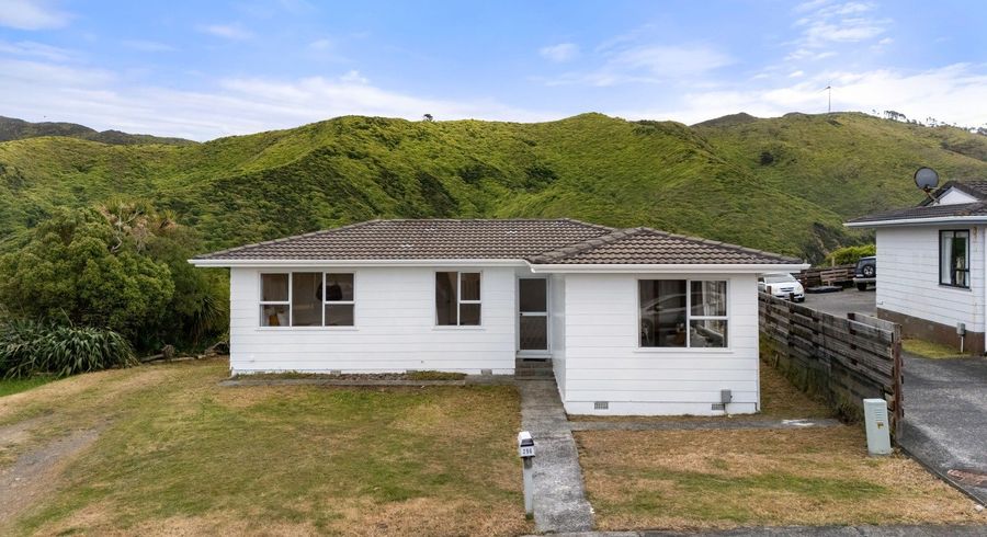  at 296 Mitchell Street, Brooklyn, Wellington, Wellington