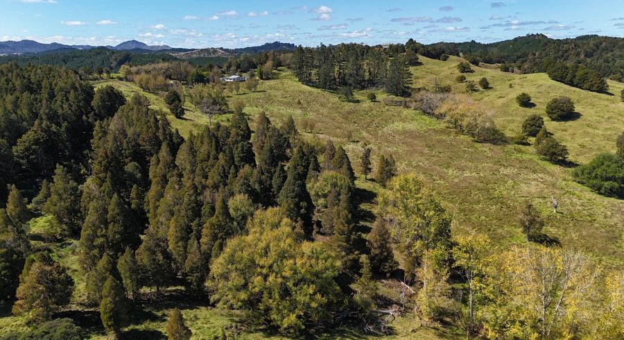  at 46 Buchanan Road, Broadwood, Far North, Northland
