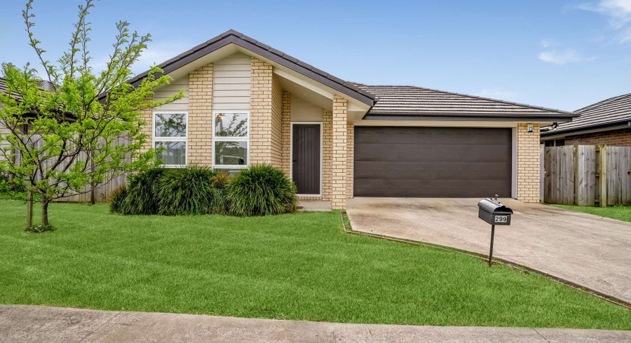  at 299 Victoria Street West, Pukekohe