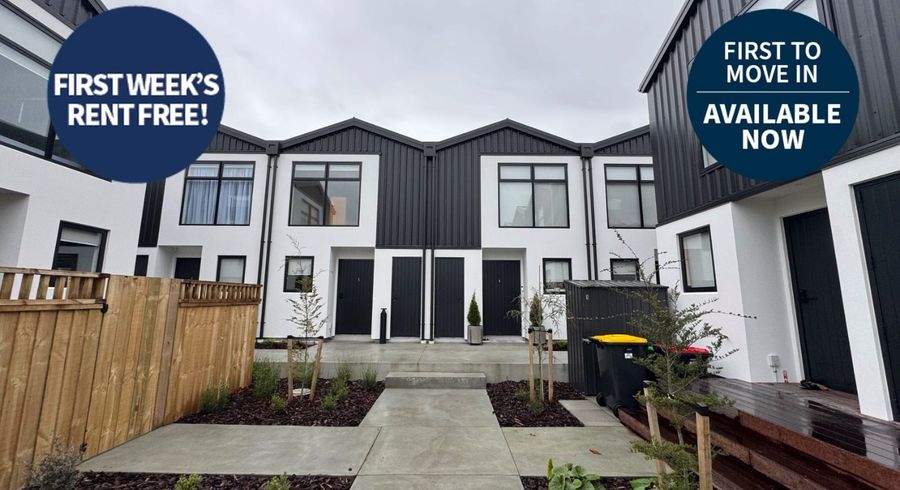  at 3/45 Bordesley Street, Phillipstown, Christchurch City, Canterbury