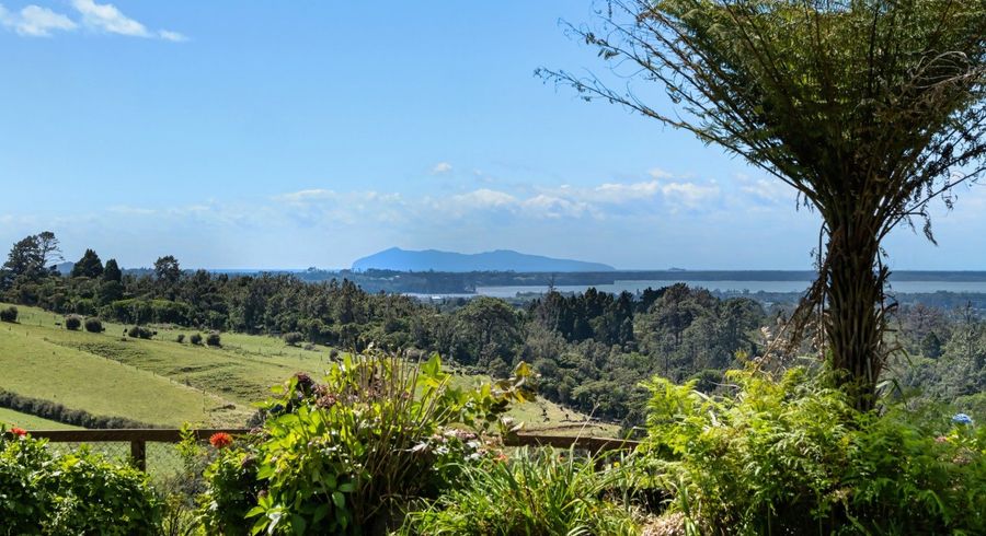  at 424A Hot Springs Road, Katikati, Western Bay Of Plenty, Bay Of Plenty