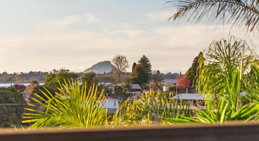  at 31 Bayvista Close, Welcome Bay, Tauranga, Bay Of Plenty
