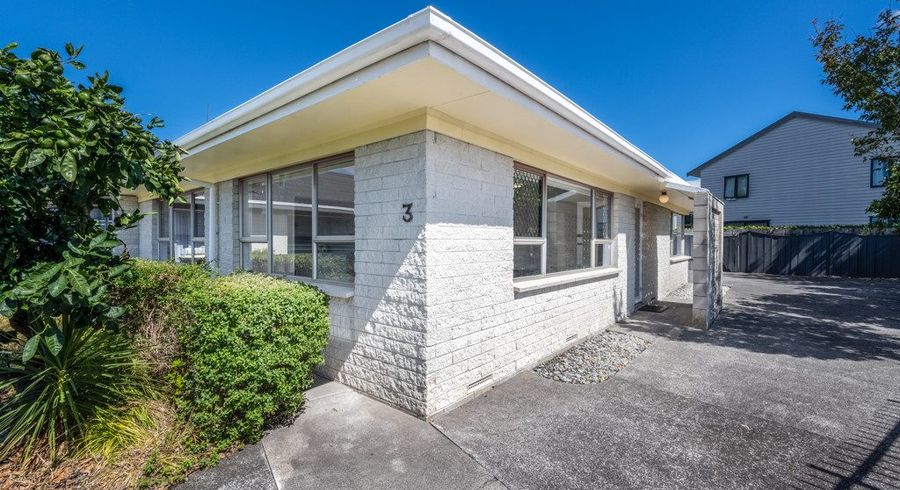  at 3/248 St George Street, Papatoetoe, Auckland