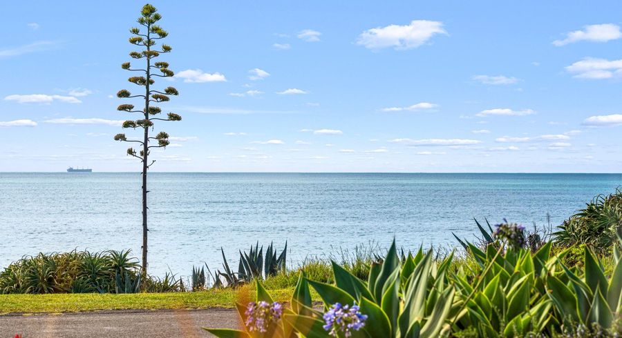  at 202 Whirinaki Road, Eskdale, Hastings, Hawke's Bay