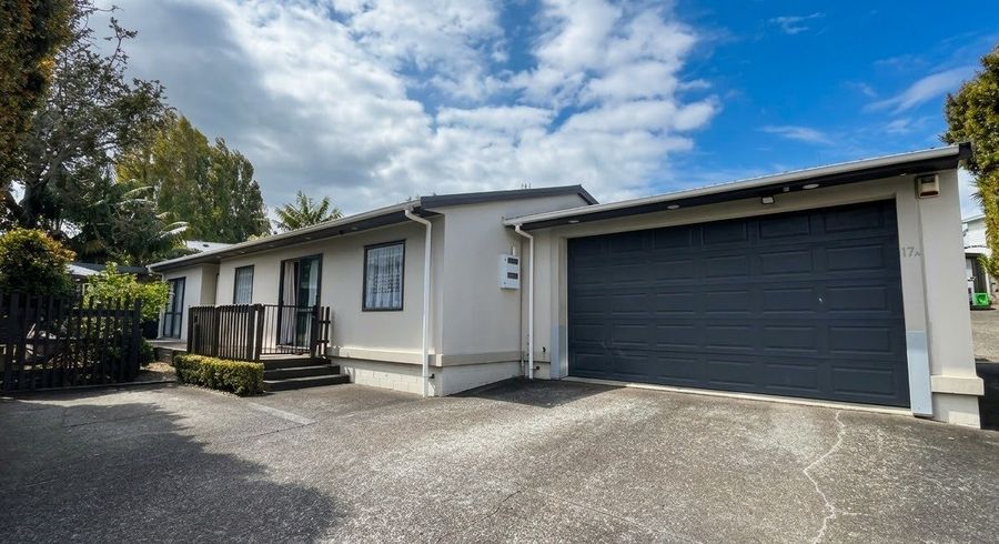  at 17A Skinner Road, Mount Wellington, Auckland City, Auckland