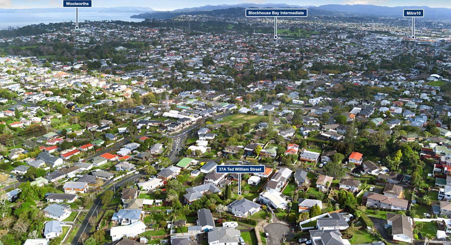  at 37A Ted William Street, New Windsor, Auckland City, Auckland