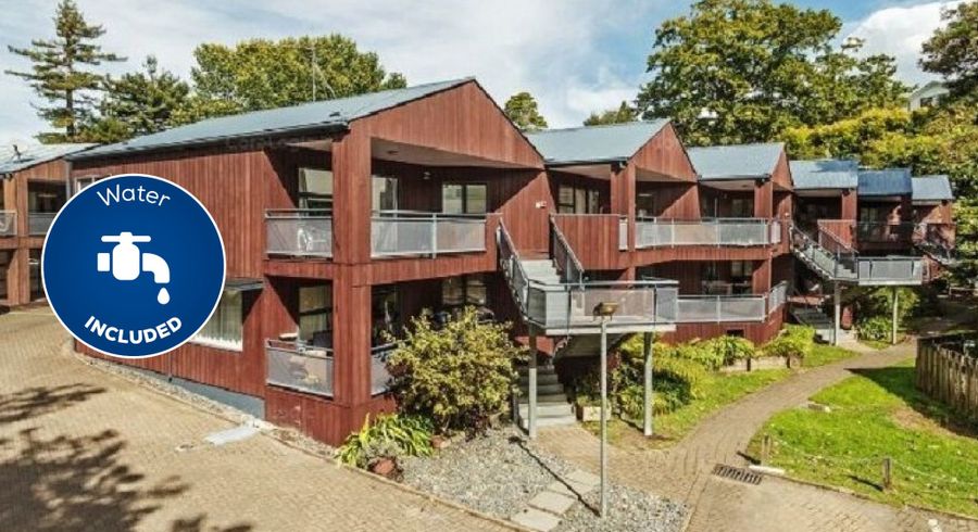  at 13/3 The Avenue, Albany, North Shore City, Auckland