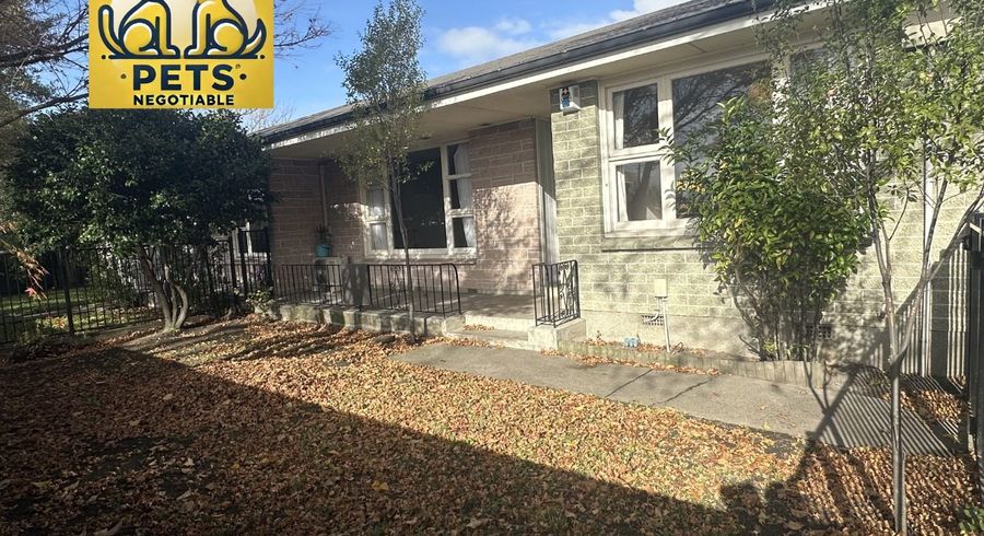  at 2/98 Bealey Ave, City Centre, Christchurch City, Canterbury