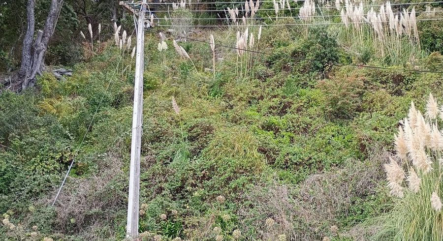  at 820 Thames Coast Road, Te Mata, Thames-Coromandel, Waikato