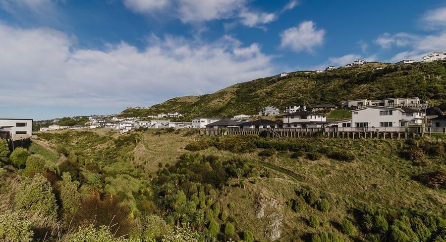  at 53A Rochdale Drive, Churton Park, Wellington, Wellington