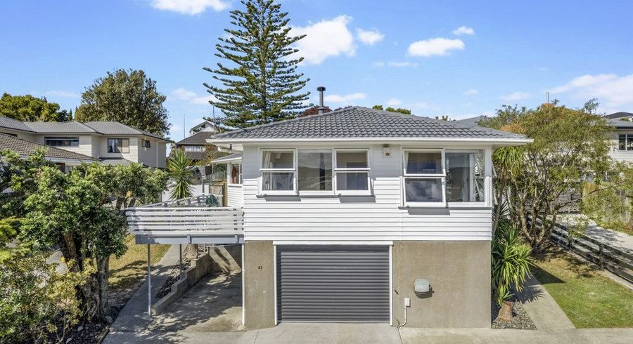  at 43 Waitaki Street, Henderson, Auckland