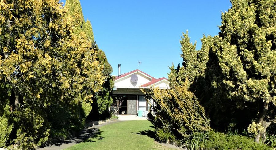  at 206 Willowbank Avenue, Meeanee, Napier
