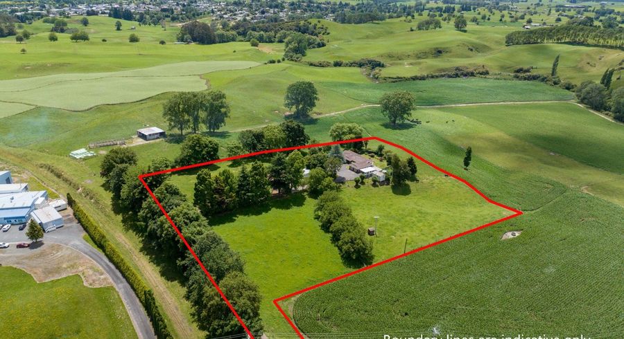  at 113 Domain Road, Putaruru