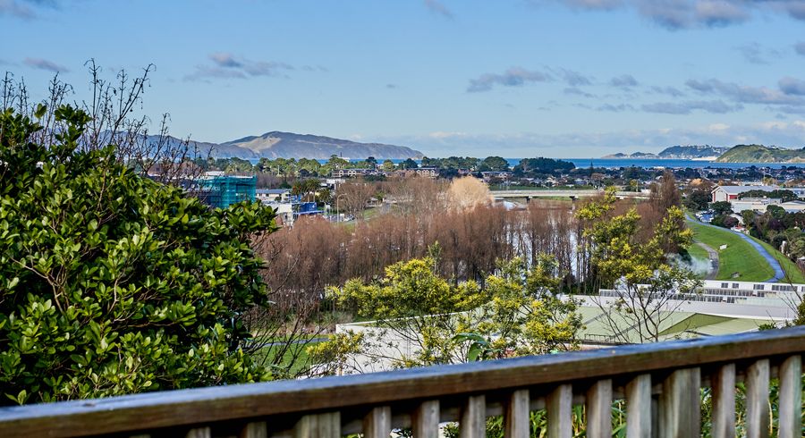  at 4 Gaskill Grove, Harbour View, Lower Hutt
