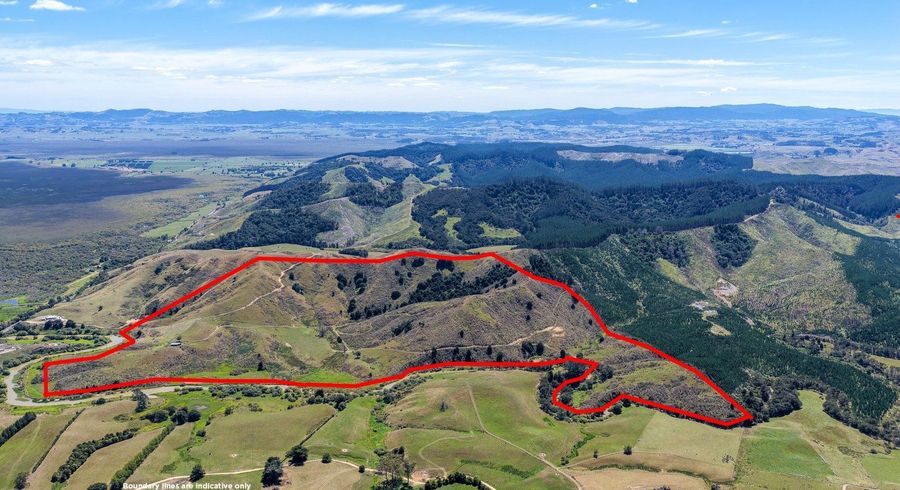  at 650 Falls Road, Maramarua, Franklin, Auckland