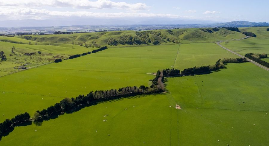  at White Rock Road, Martinborough, South Wairarapa, Wellington