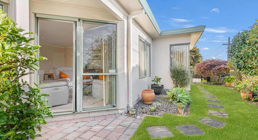  at 16A Wickham Place, Hairini, Tauranga, Bay Of Plenty