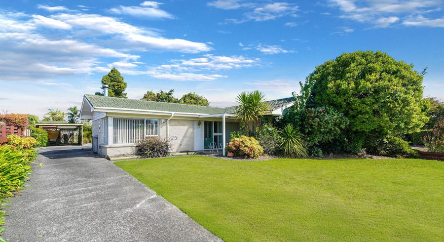  at 20 Sunnypark Avenue, Rosehill, Papakura