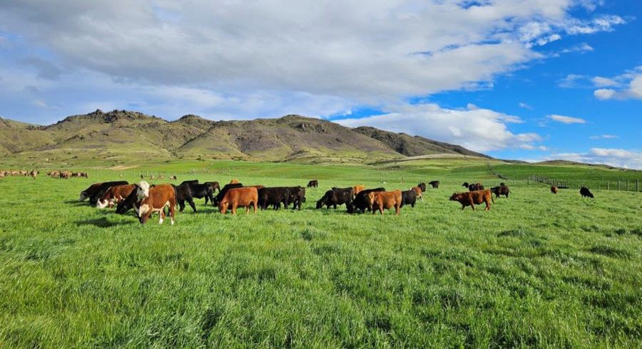  at 580 Crawford Hills Road, Alexandra, Central Otago, Otago