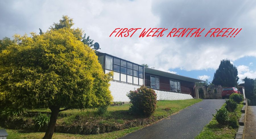  at 32 Sunnyhills Ave, Glenview, Hamilton, Waikato