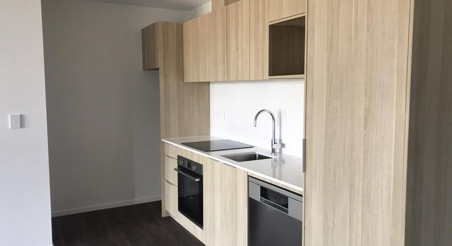  at 521/20 Park Ave, Ellerslie, Auckland City, Auckland