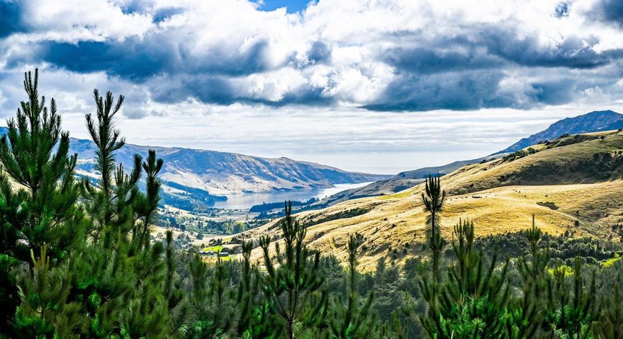  at 226 Middle Road, Pigeon Bay, Banks Peninsula, Canterbury