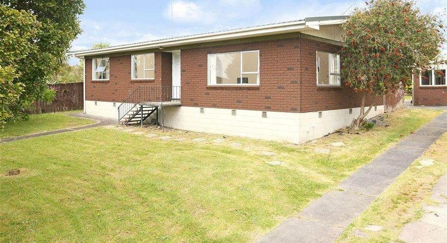  at 133 Universal Drive, Henderson, Auckland