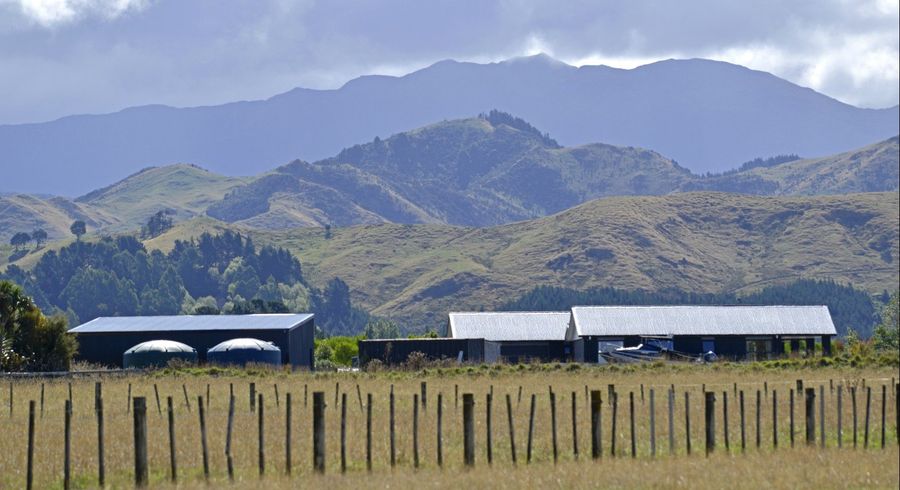  at 48 Jordan Road, Carterton, Carterton, Wellington