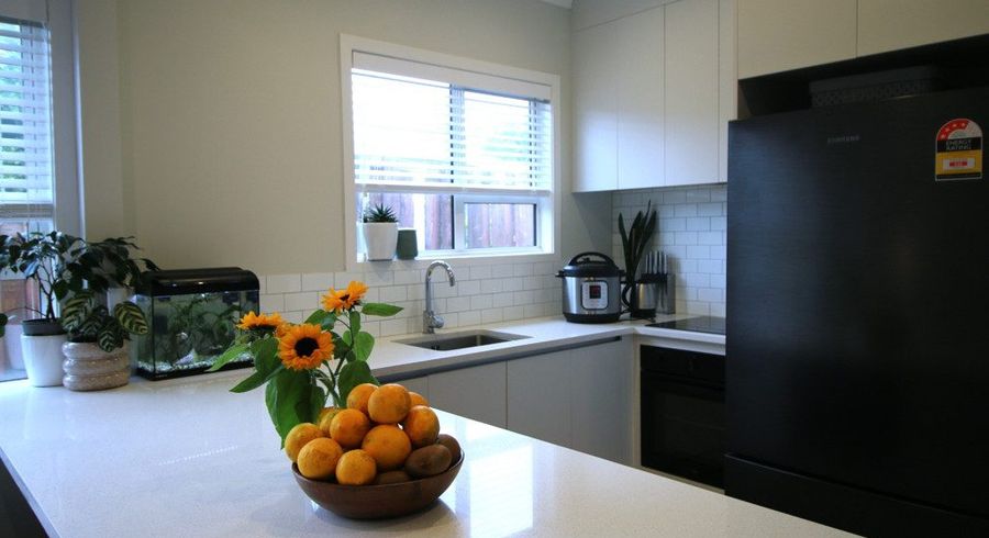  at 47 Tahi Terrace, Glen Eden, Waitakere City, Auckland