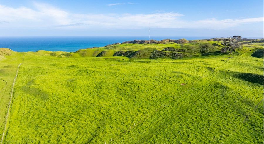  at Pinaki Road, Dargaville, Kaipara, Northland