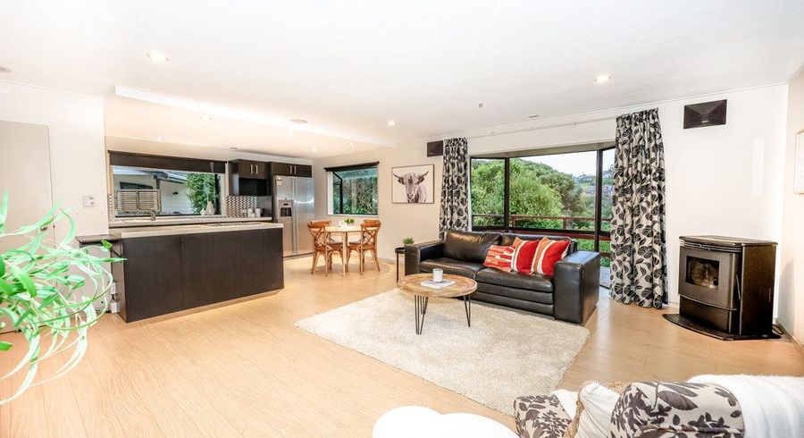  at 13 Cawdor Place, Waverley, Dunedin