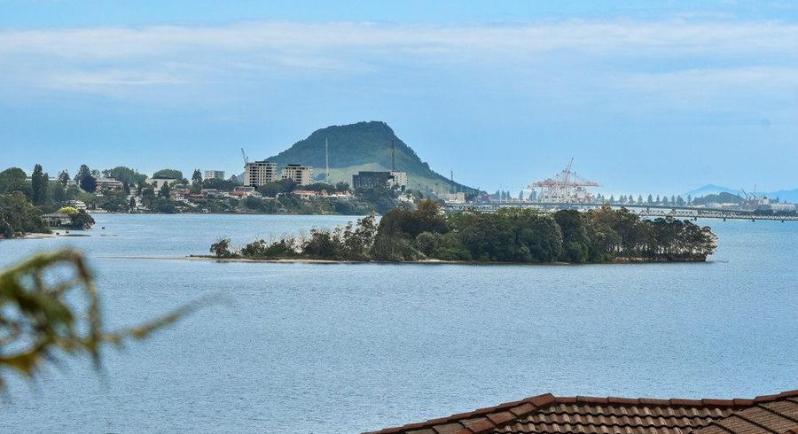  at 64b Tutauanui Crescent, Maungatapu, Tauranga, Bay Of Plenty