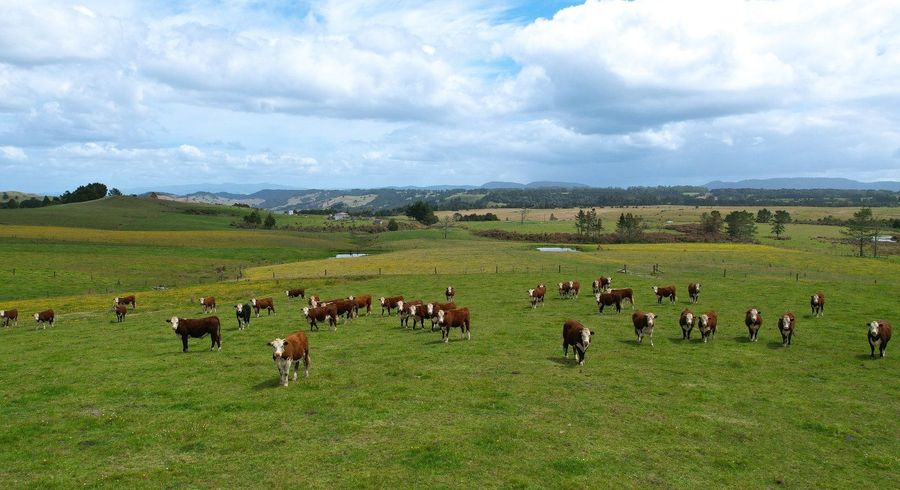  at 194 Toia Road, Okaihau, Far North, Northland