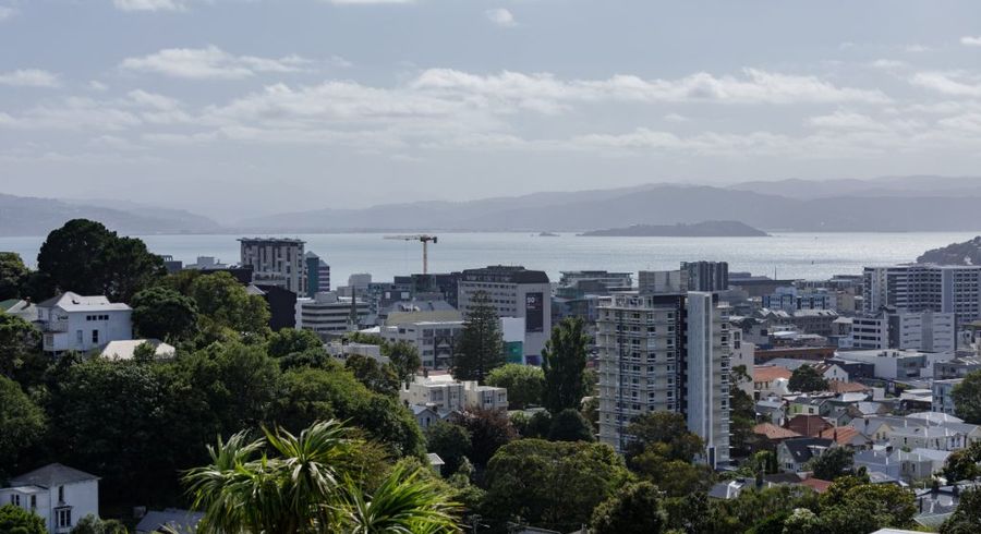  at 9 Durham Crescent, Aro Valley, Wellington, Wellington