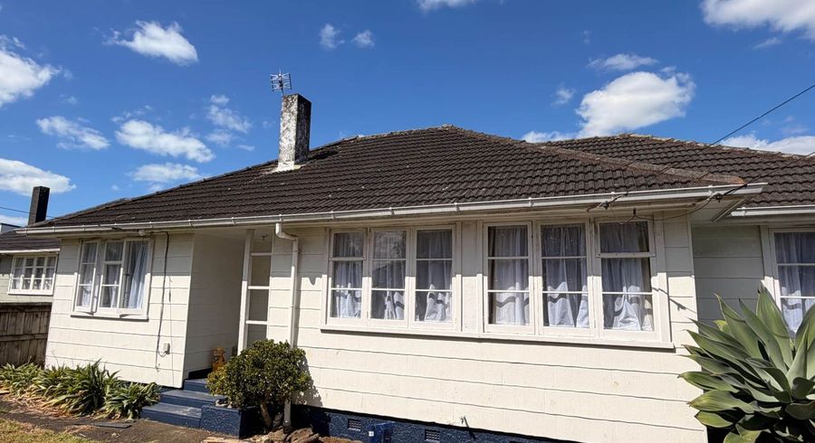  at 20 Ropata Avenue, Point England, Auckland City, Auckland