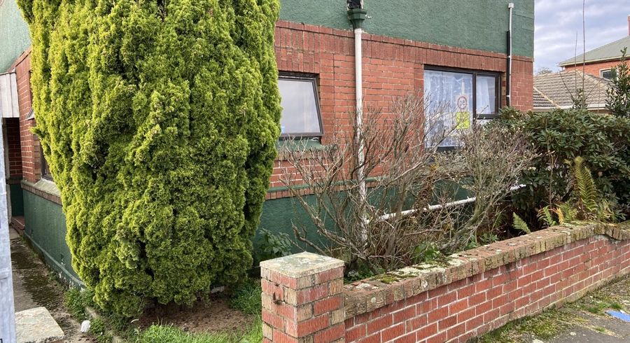  at 6 Howe Street, North Dunedin, Dunedin