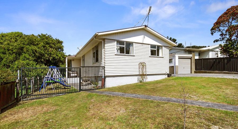  at 17 Nassau Avenue, Grenada North, Wellington