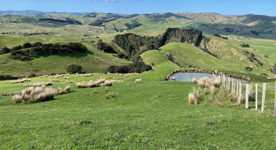  at 37 Waikakahi Road Pongaroa, Pongaroa, Tararua, Manawatu / Whanganui