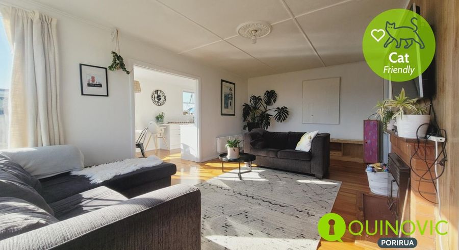  at 3 Morere Street, Titahi Bay, Porirua, Wellington