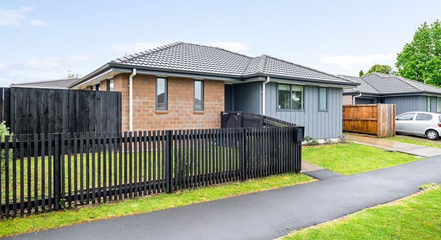  at 53 Holland Road, Fairfield, Hamilton, Waikato