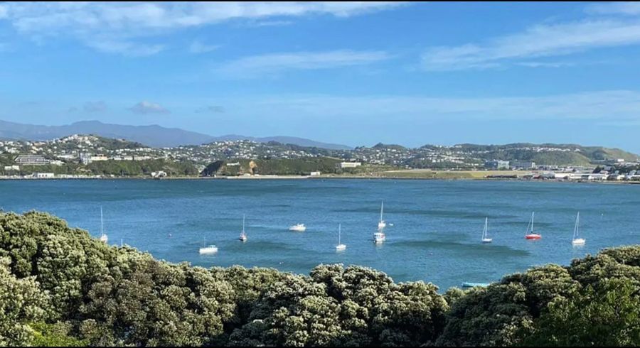  at 11 Rewa Road, Hataitai, Wellington, Wellington